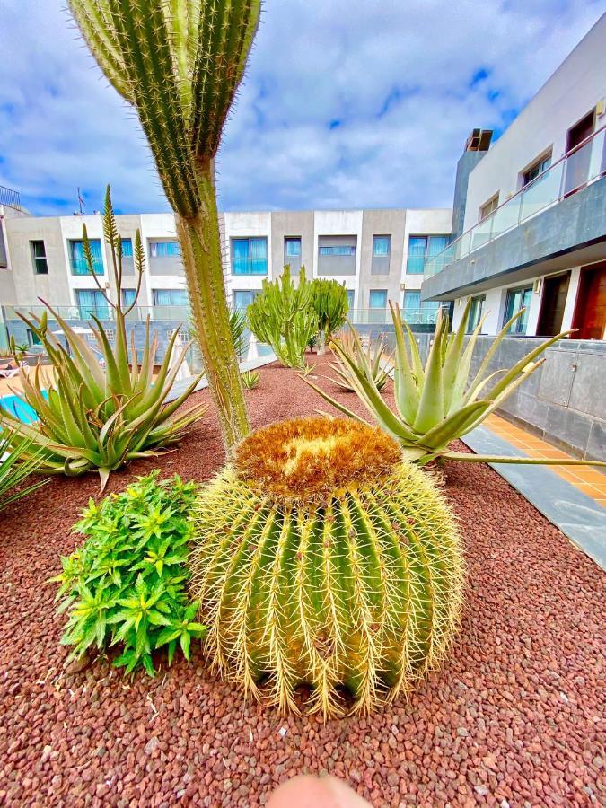 Апартаменты Mar De Fuerteventura 2 Коральео Экстерьер фото